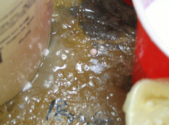 膠水起泡現象